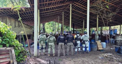 Aseguran laboratorio clandestino y 900 kg de metanfetamina en Chiapas