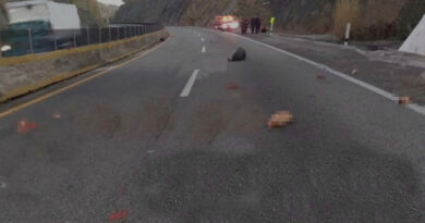Localizan restos humanos a un lado de la Autopista del Sol en Guerrero
