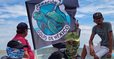 Cancelan lanzamiento de nave ‘Starship’; activistas mexicanos señalan impacto ambiental