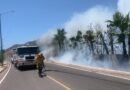 Se registra incendio forestal
