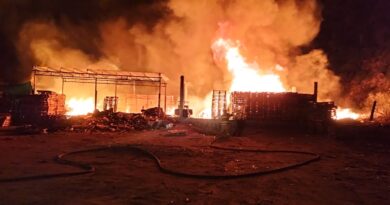 Se incendia tarimera en la colonia Ladrillera