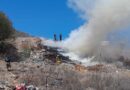 Calor provoca incendios forestales