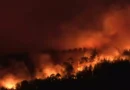 Grecia solicita ayuda a Europa para combatir nuevos incendios forestales