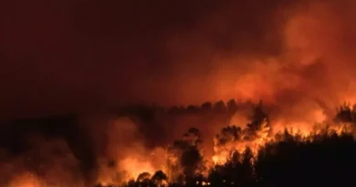 Grecia solicita ayuda a Europa para combatir nuevos incendios forestales