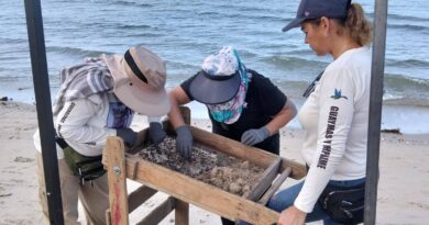 Estudiará INAH restos encontrados en San Carlos
