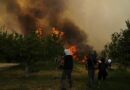 Los incendios forestales en España dejan tres muertos y miles de hectáreas arrasadas