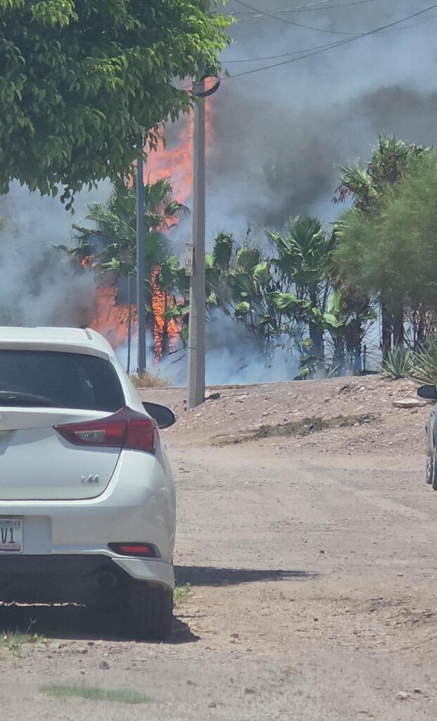 FB IMG 1754007819693