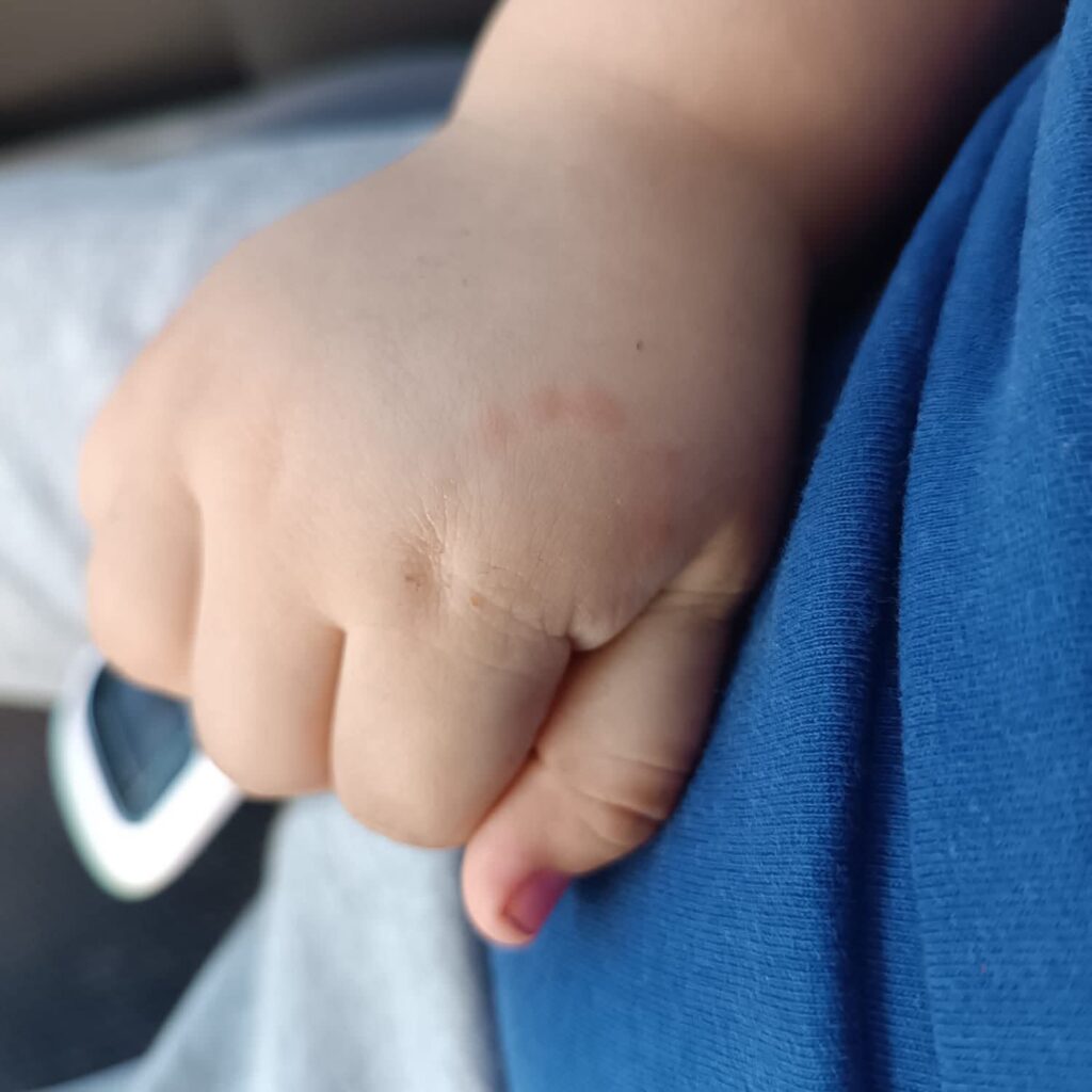 FB IMG 1754841597154 1