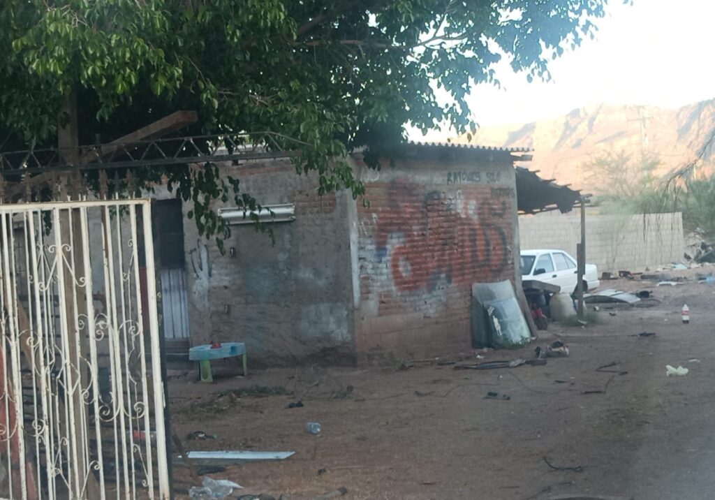 IMG 20250810 WA02411