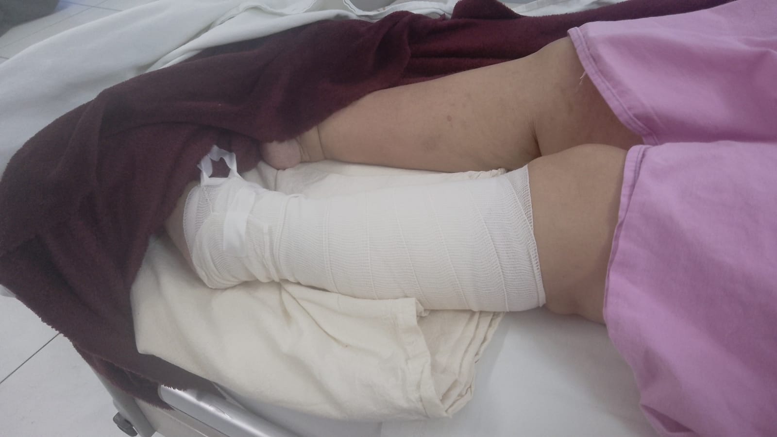  Autoridades protegerían a responsable de agresión animal