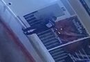 Roban en tienda de celulares