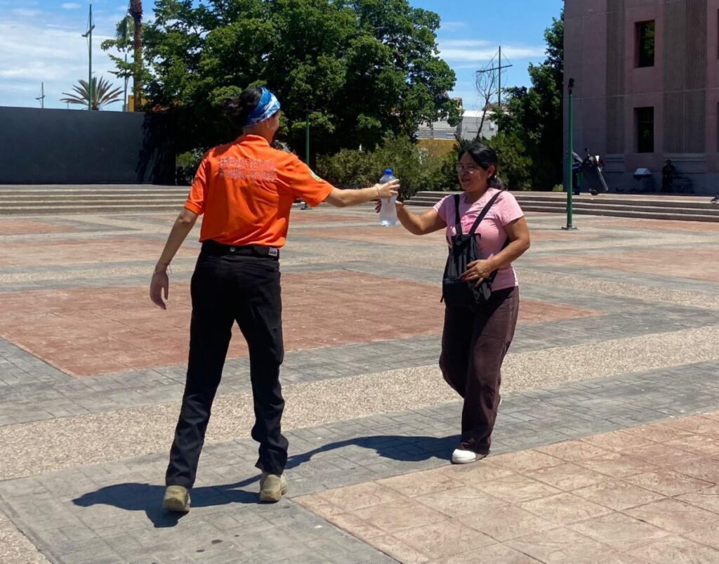 WhatsApp Image 2025 08 13 at 12.54.24 PM