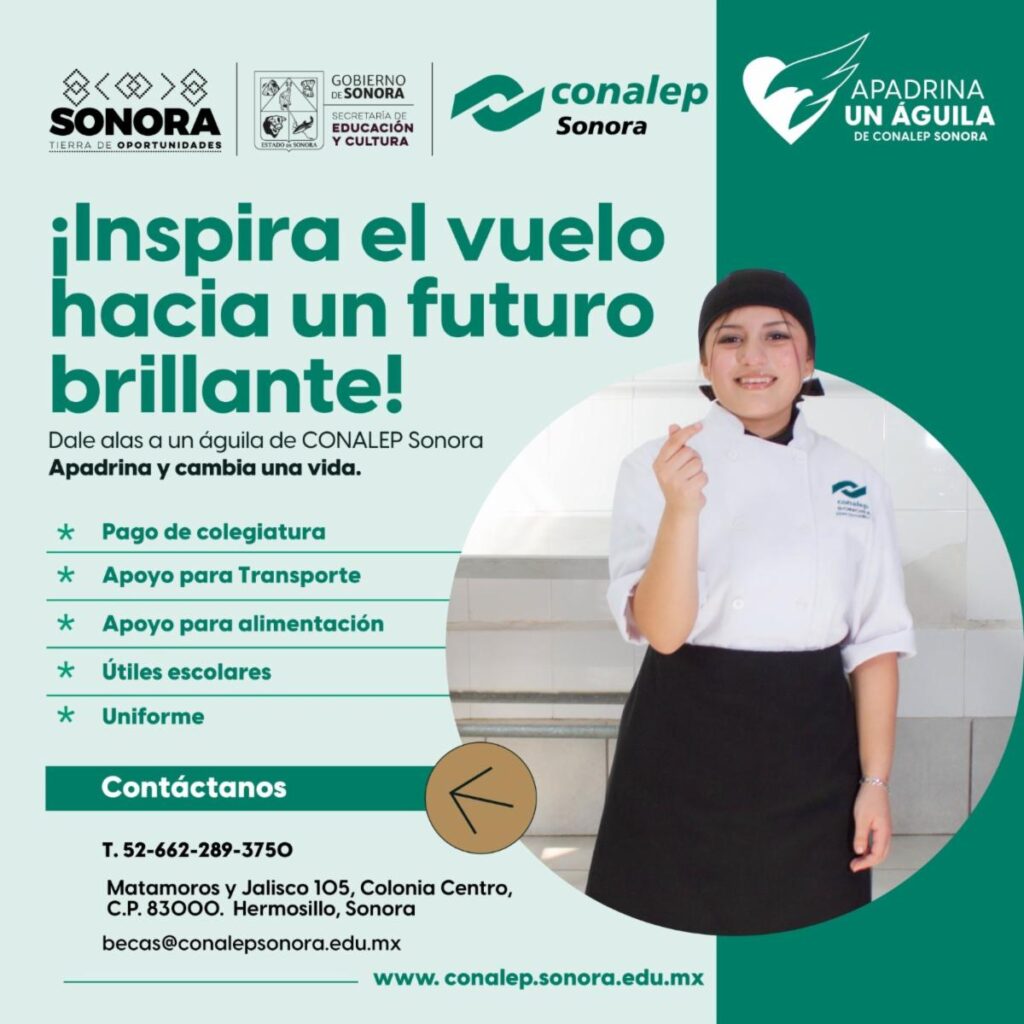 WhatsApp Image 2025 08 13 at 9.27.20 AM