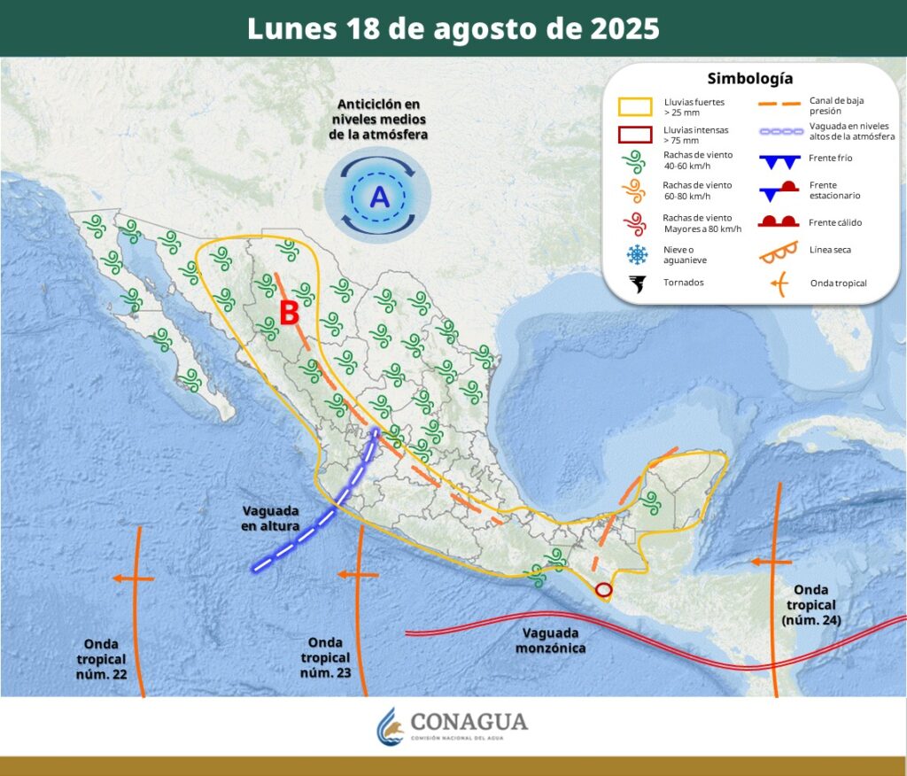 WhatsApp Image 2025 08 18 at 9.42.44 AM