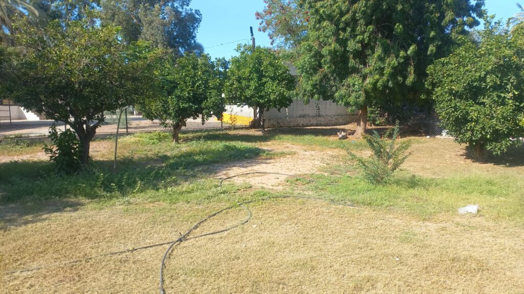 WhatsApp Image 2025 08 22 at 4.06.49 PM 7