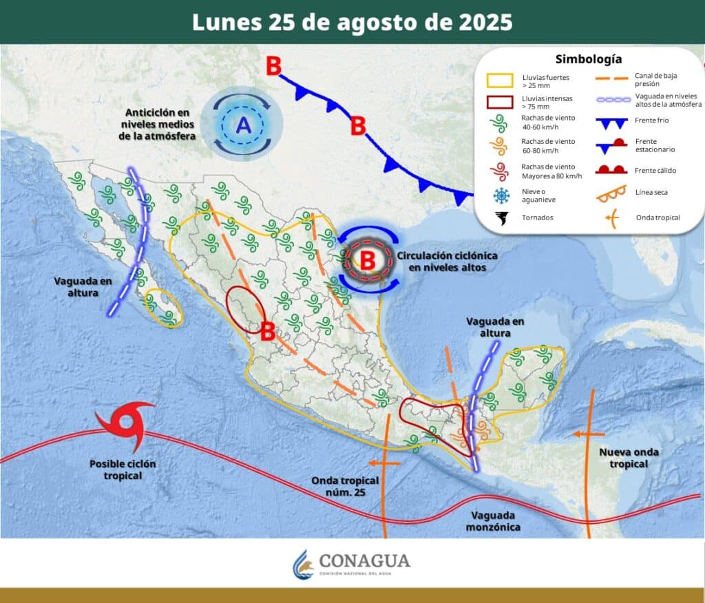 WhatsApp Image 2025 08 25 at 9.30.51 AM