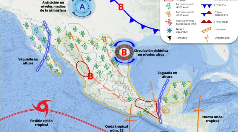 WhatsApp Image 2025 08 25 at 9.30.51 AM