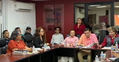 IMM lleva a cabo la 8va. Sesión del Consejo Consultivo para la Prevención, Atención y Tratamiento de la Violencia Familiar