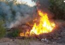Se incendia maleza