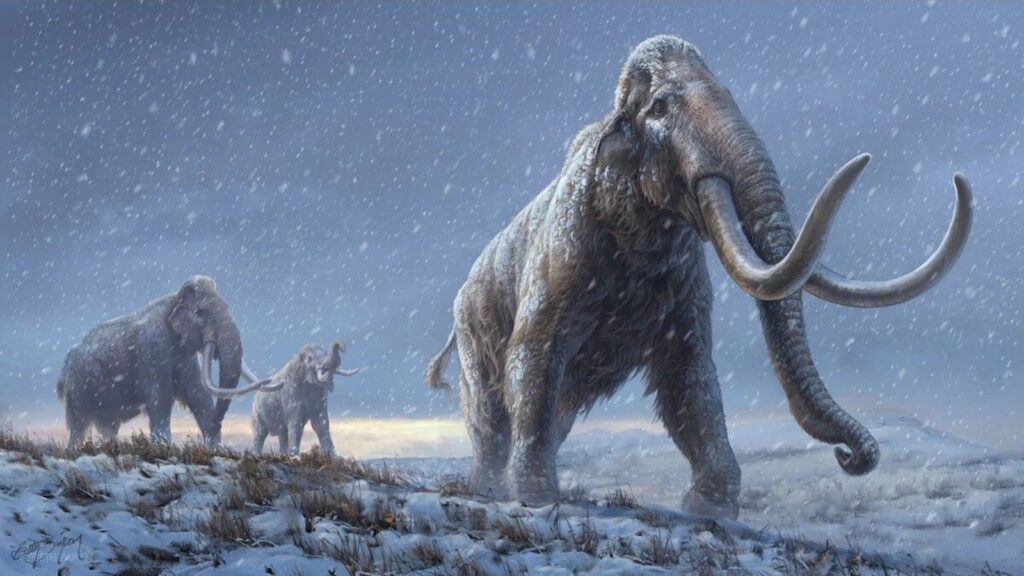 1 mammoths