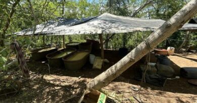 Neutralizan laboratorios clandestinos en Durango; aseguran 21 toneladas de metanfetamina