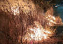 Se incendia predio