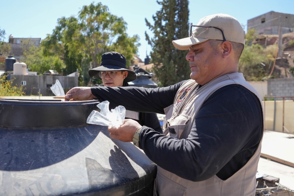 Insta Gobierno de Sonora a eliminar criaderos de mosquitos para prevenir el dengue