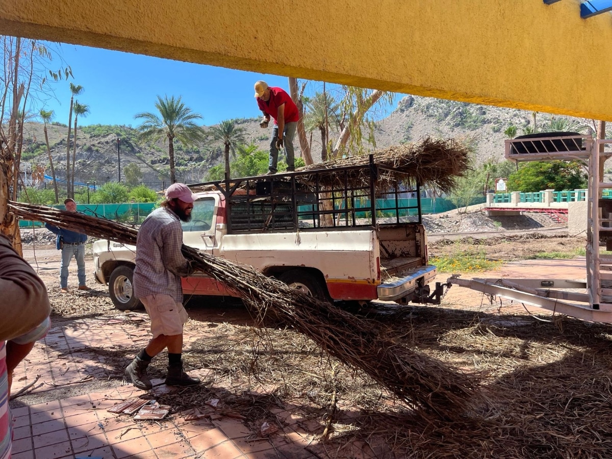 Gobierno de Sonora impulsa proyecto de bioconstrucción con carrizo en el Bosque Urbano La Sauceda