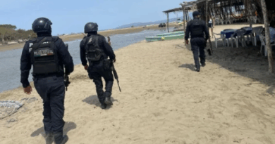 Jornada de violencia en Acapulco: al menos nueve asesinatos en 24 horas