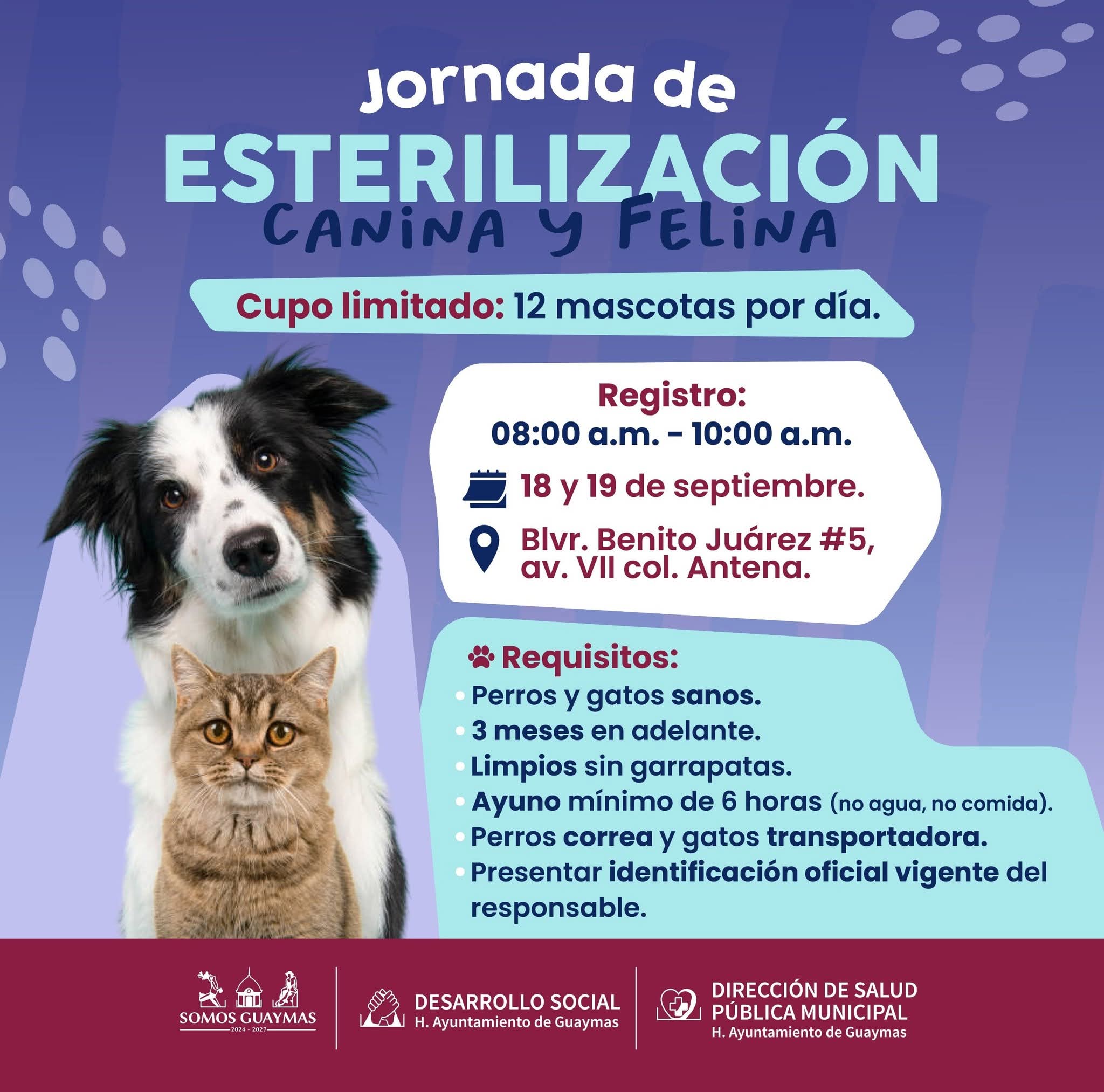 Realizarán jornada de esterilización