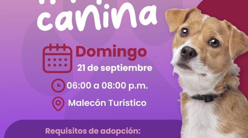 FB IMG 1758329279050