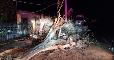 Lluvia deja daños leves en Empalme