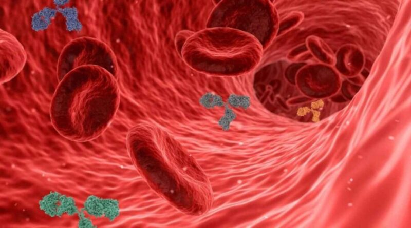 Microplasticos en sangre 1024x512 1