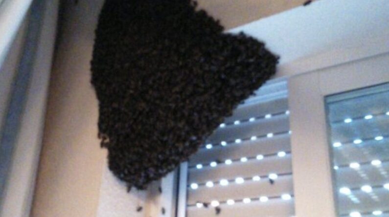 Screenshot 20250923 172159 com.android.chrome