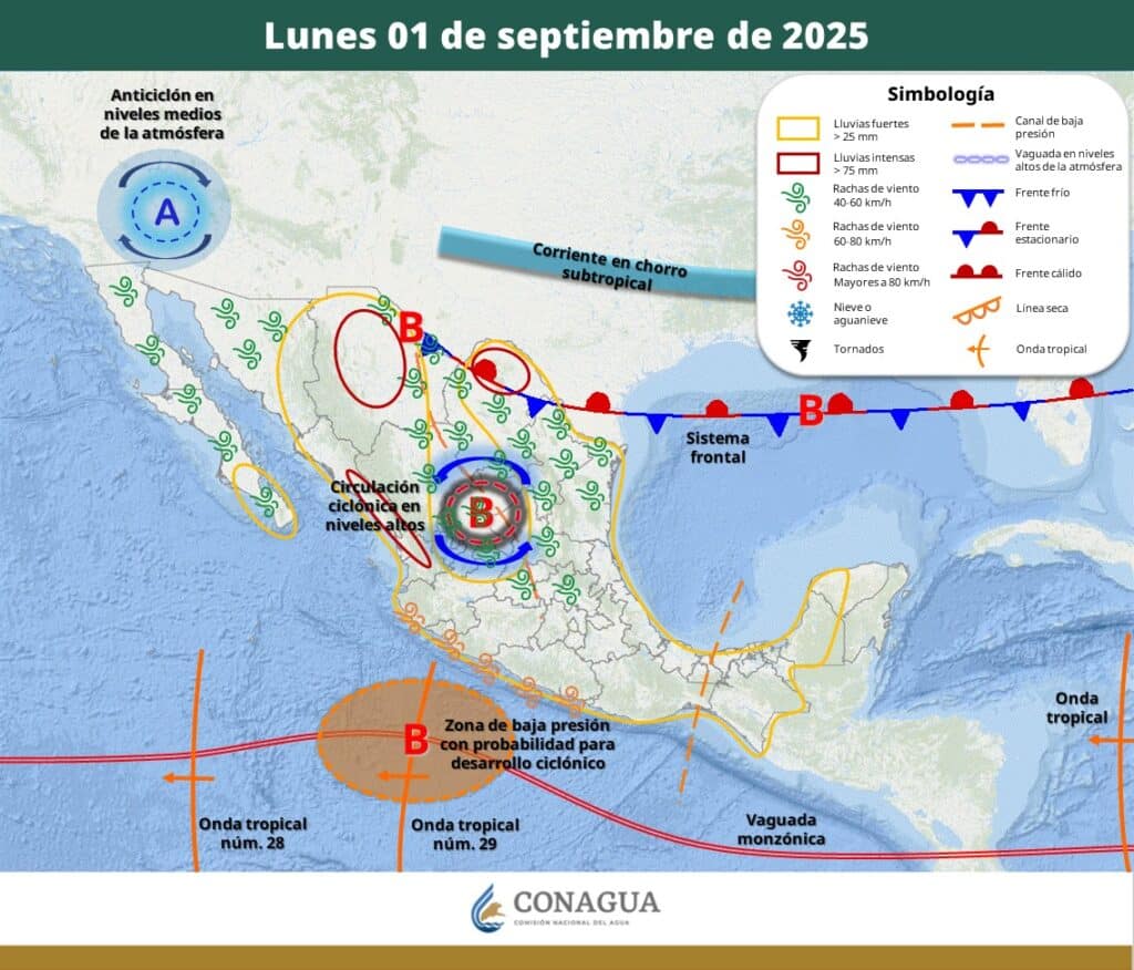 WhatsApp Image 2025 09 01 at 10.11.19 AM