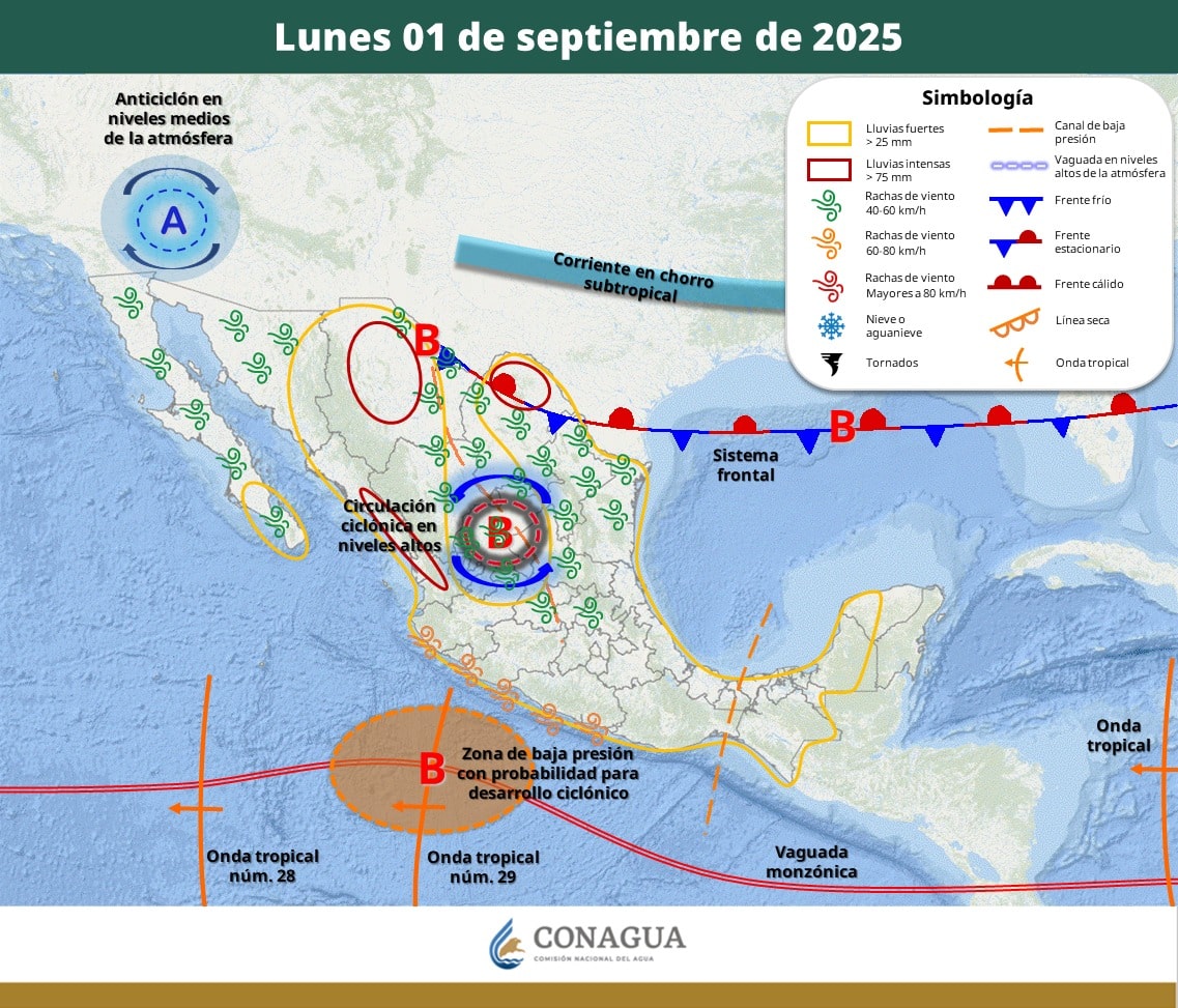 Pronóstico del Tiempo