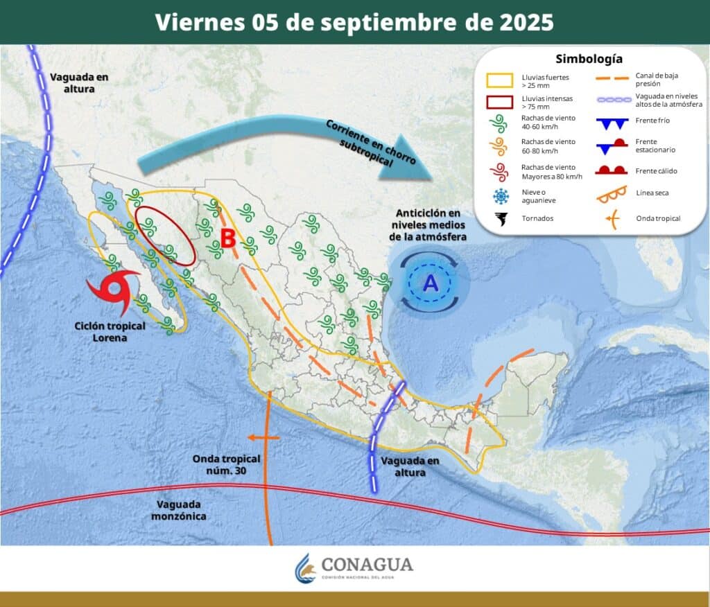 WhatsApp Image 2025 09 05 at 9.25.51 AM 1