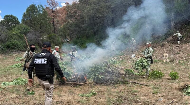 WhatsApp Image 2025 09 09 at 6.40.59 PM 3