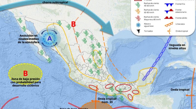 WhatsApp Image 2025 09 20 at 8.22.04 AM