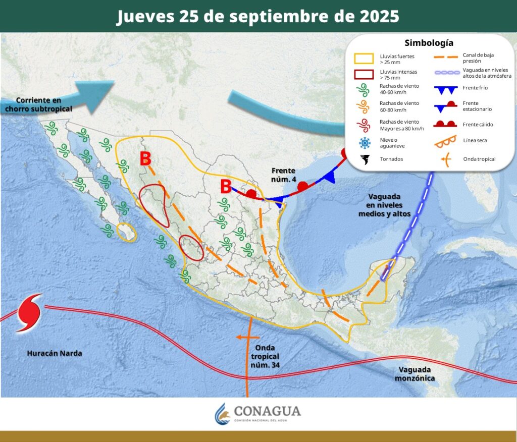 WhatsApp Image 2025 09 25 at 9.26.42 AM