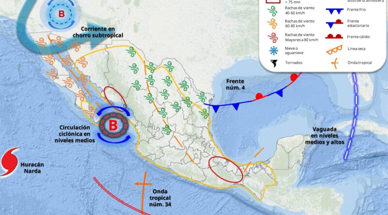 WhatsApp Image 2025 09 26 at 8.24.11 AM