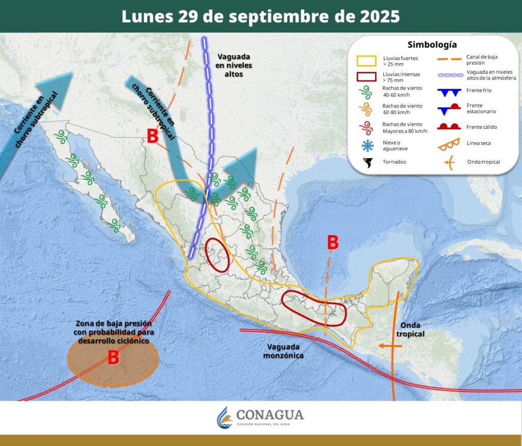 WhatsApp Image 2025 09 29 at 11.31.52 AM