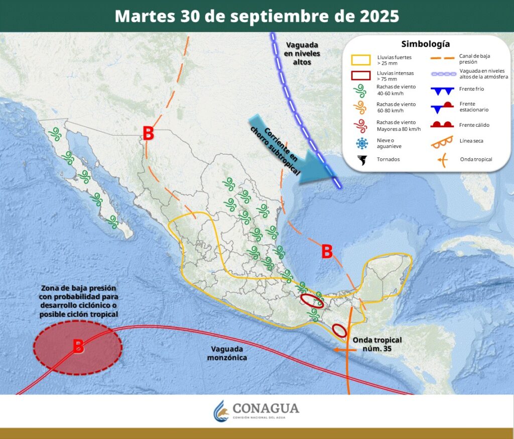 WhatsApp Image 2025 09 30 at 8.58.57 AM