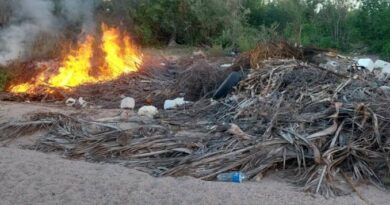 Se incendia predio