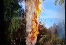 Se incendia predio en Miramar