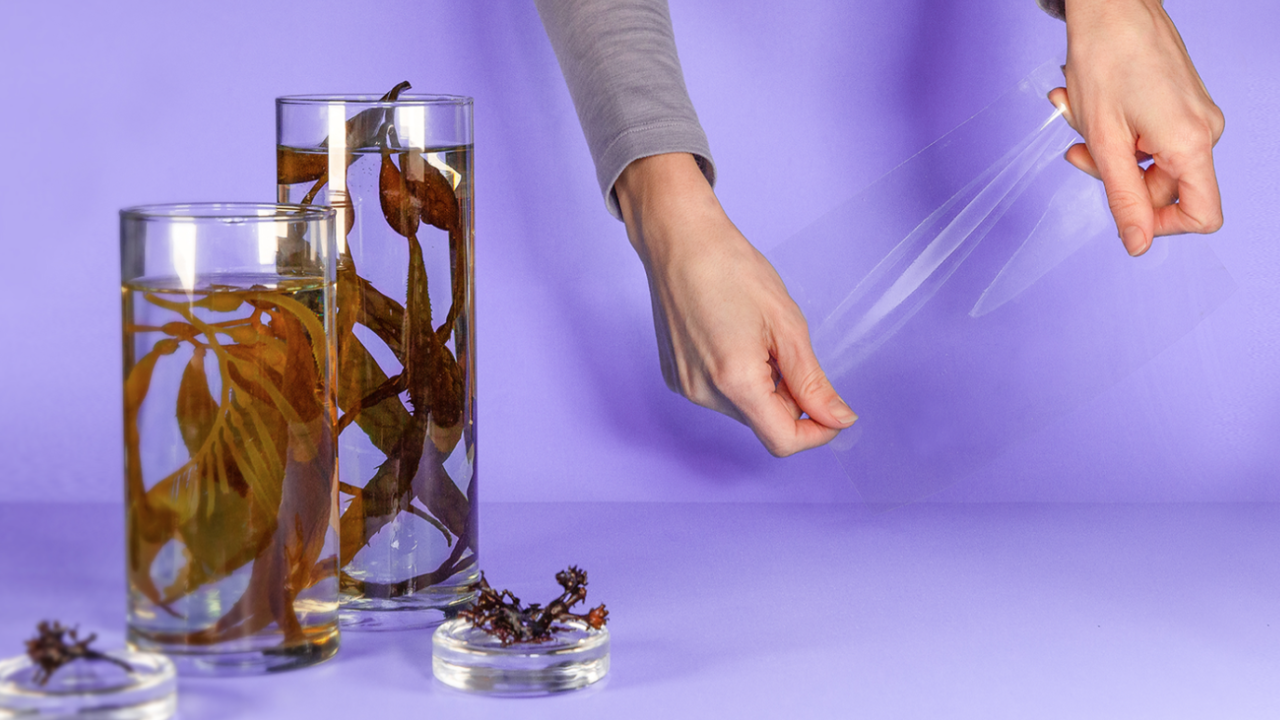 Investigadores desarrollan bioplástico a base de algas que podría reemplazar al plástico convencional