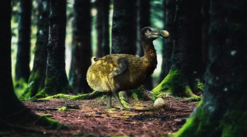 0e513840965aac9160e56d5d01270033 XL