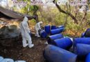 Aseguran sustancias químicas y droga en Sinaloa
