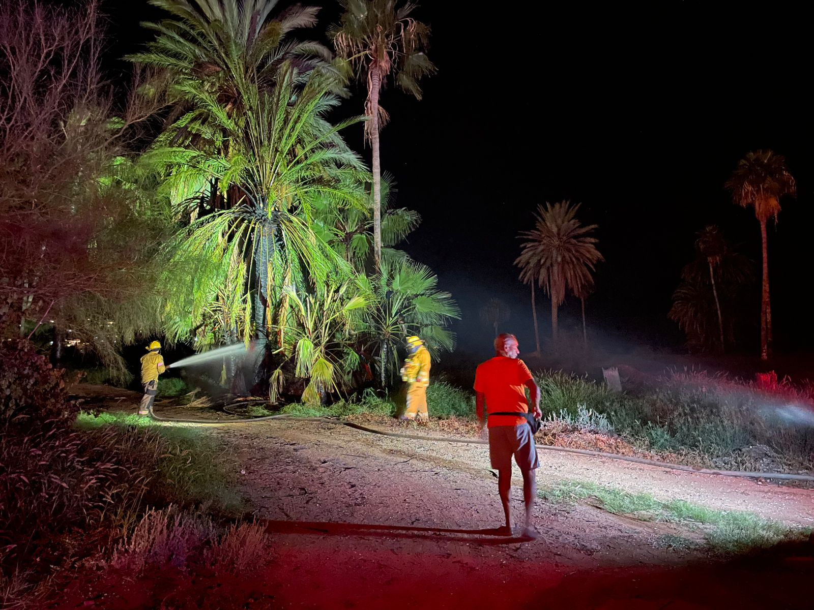 Controlan Bomberos incendio de palmas en Miramar