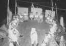 Impugnarán “Detención Ilegal” de 145 Activistas de Flotilla de Ayuda a Gaza Interceptada por Israel